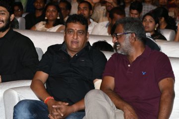 Mister Movie Pre Release Function